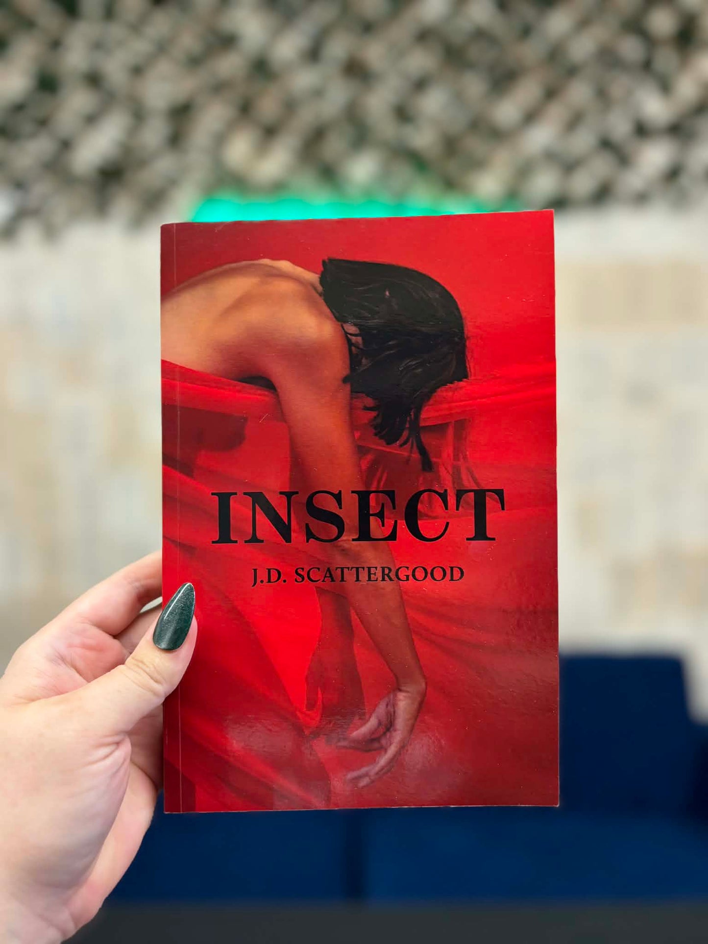Insect - J D Scattergood