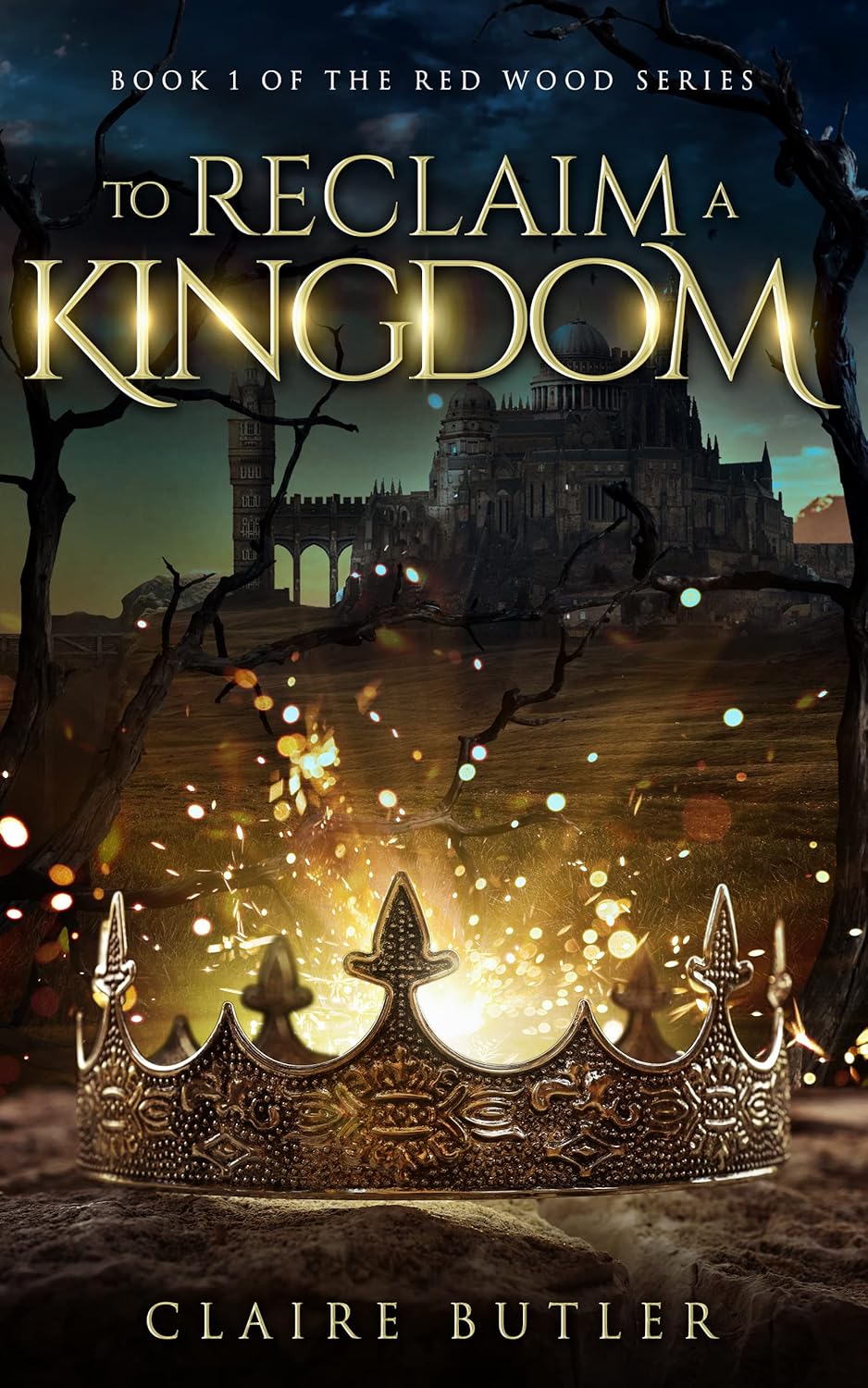 To Reclaim A Kingdom - Claire Butler