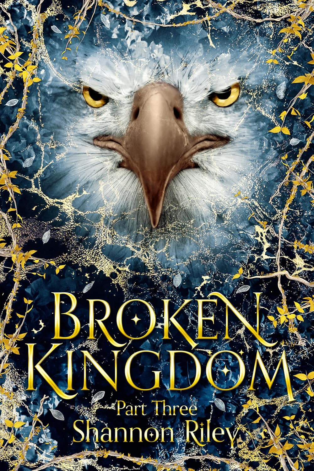 Broken Kingdom - Shannon Riley