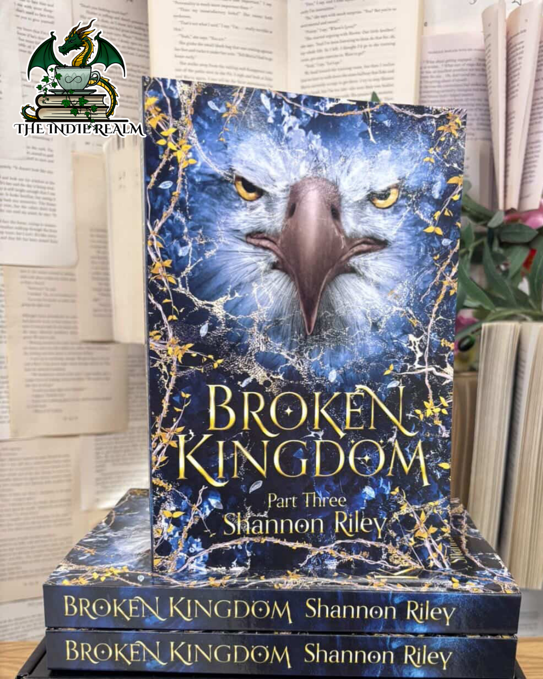 Broken Kingdom - Shannon Riley