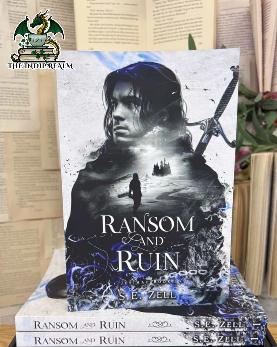 Ransom and Ruin - S E Zell