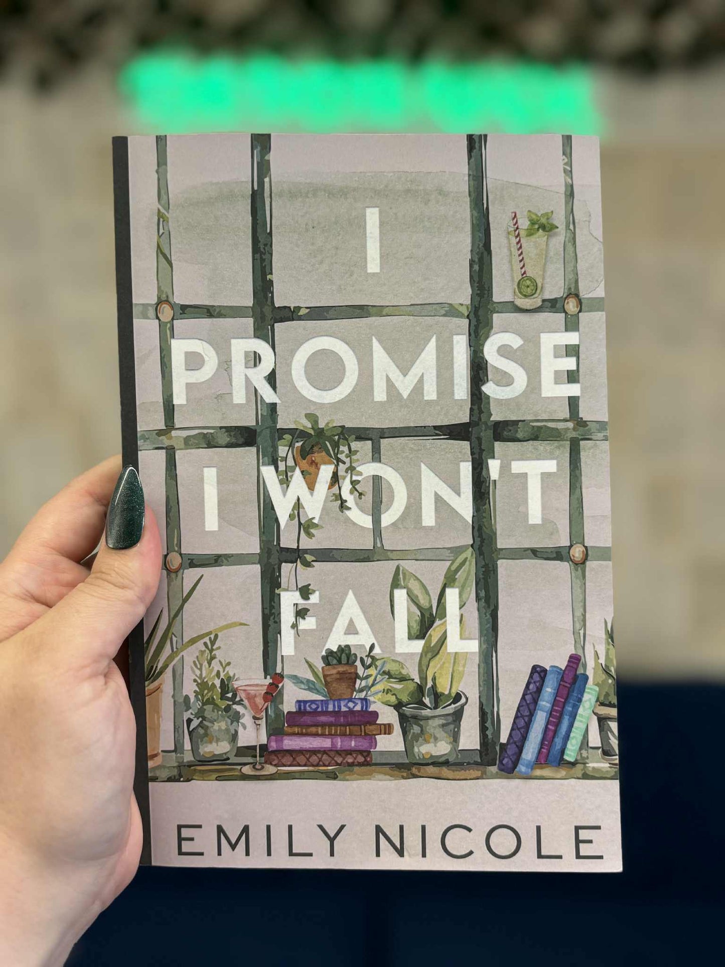 I Promise I Won't Fall - Emily Nicole